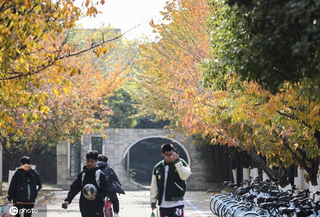 初冬时节 江苏淮安诗画校园满书香-搜狐大视野-搜狐新闻