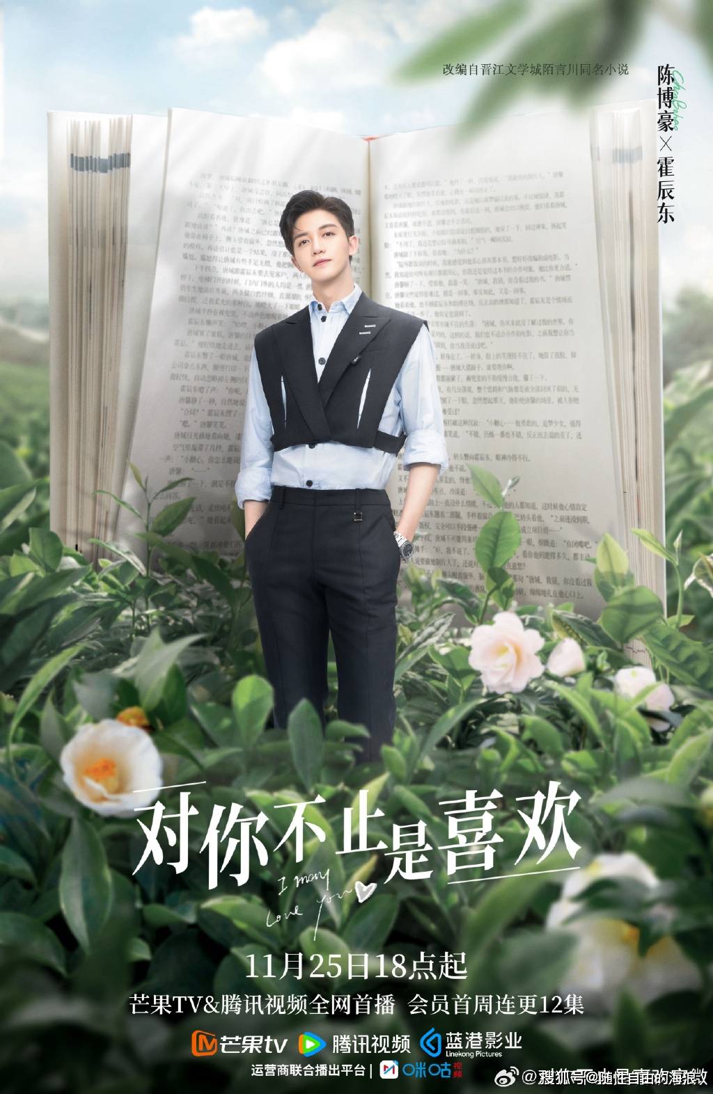 魏哲鸣黄日莹《对你不止是喜欢》定档11月25日芒果腾讯播出,不容错过