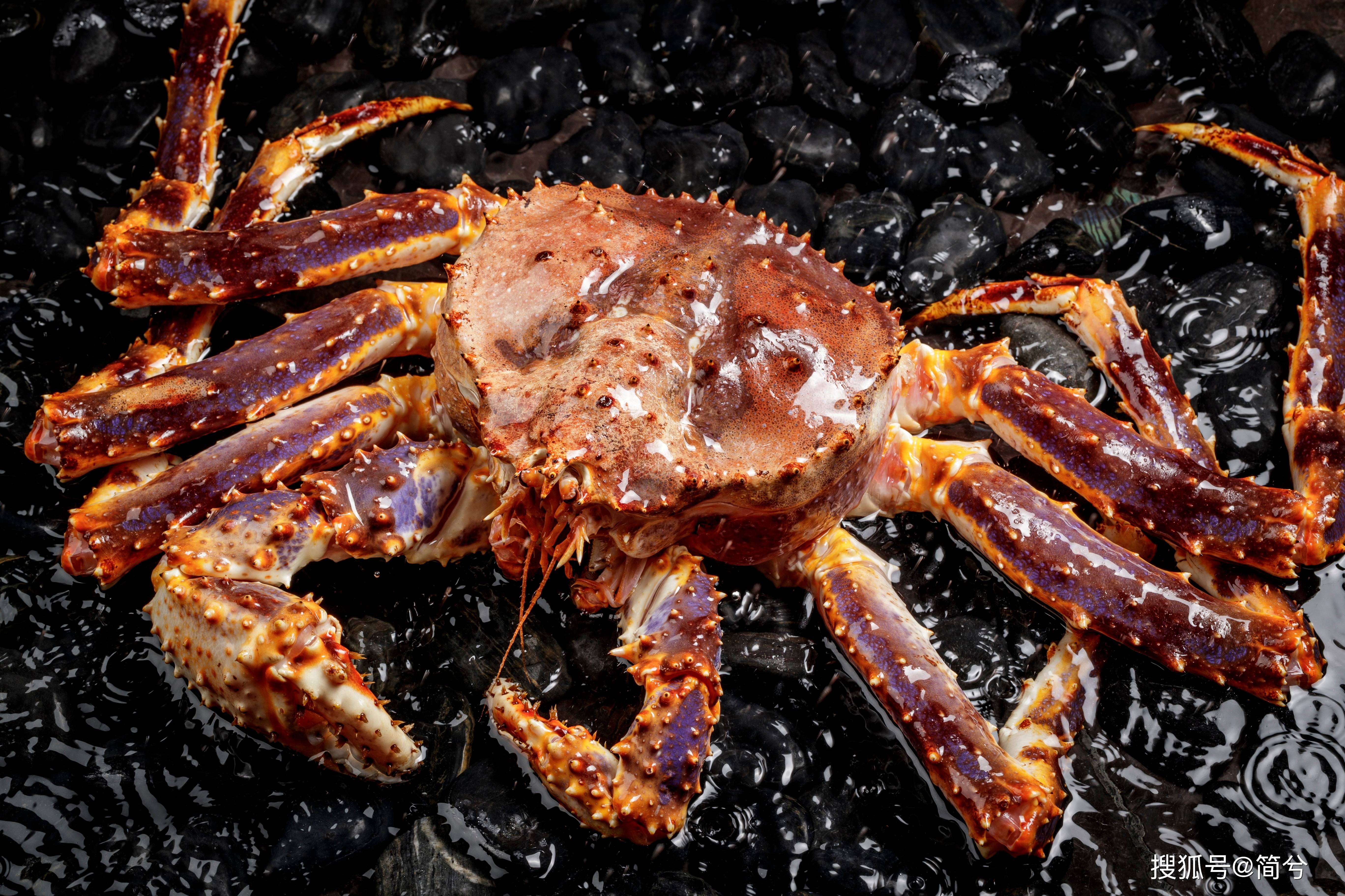 松叶蟹和帝王蟹的区别:探寻两大美味螃蟹的独特魅力