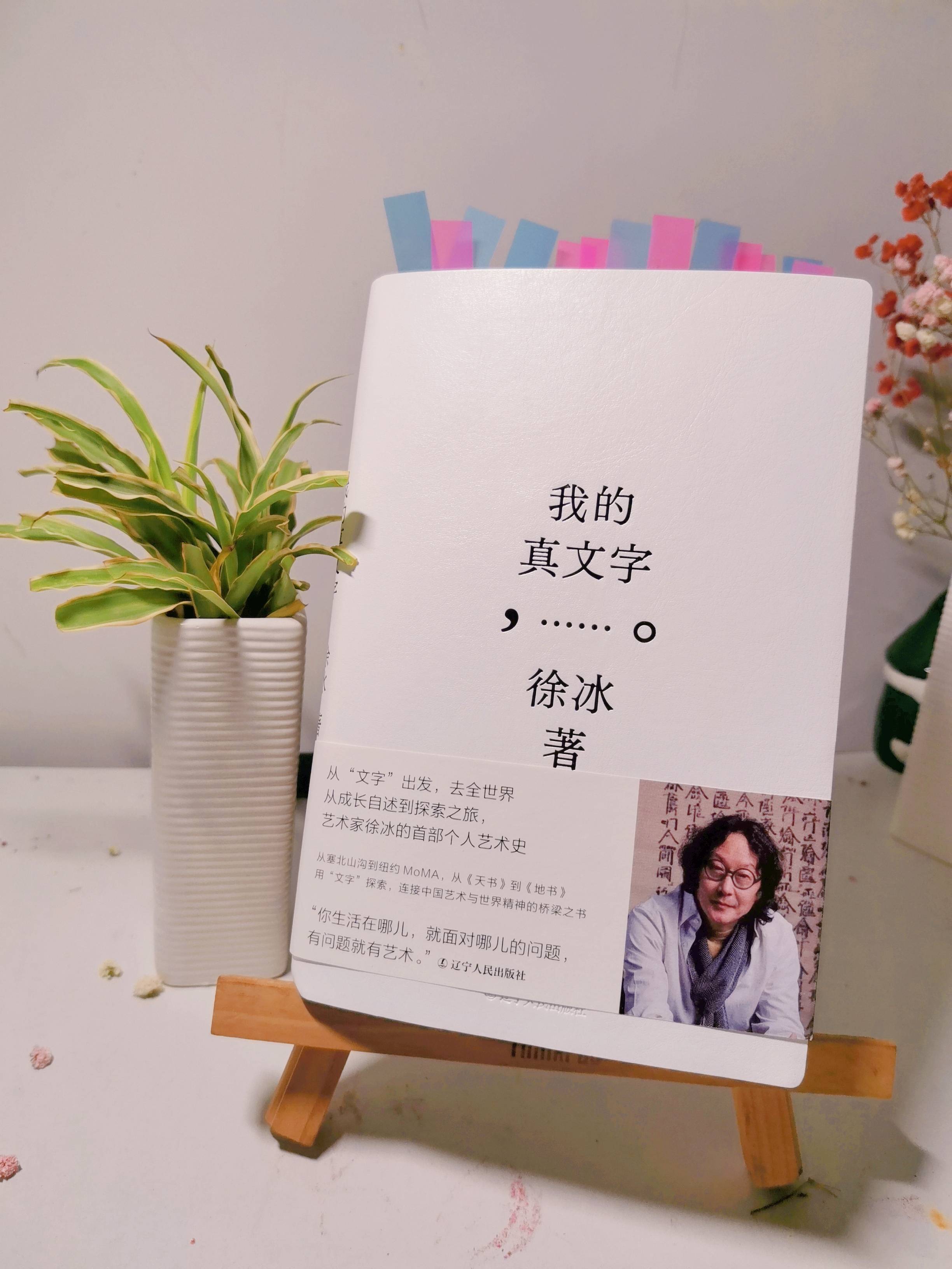 文字的魅力与艺术的力量