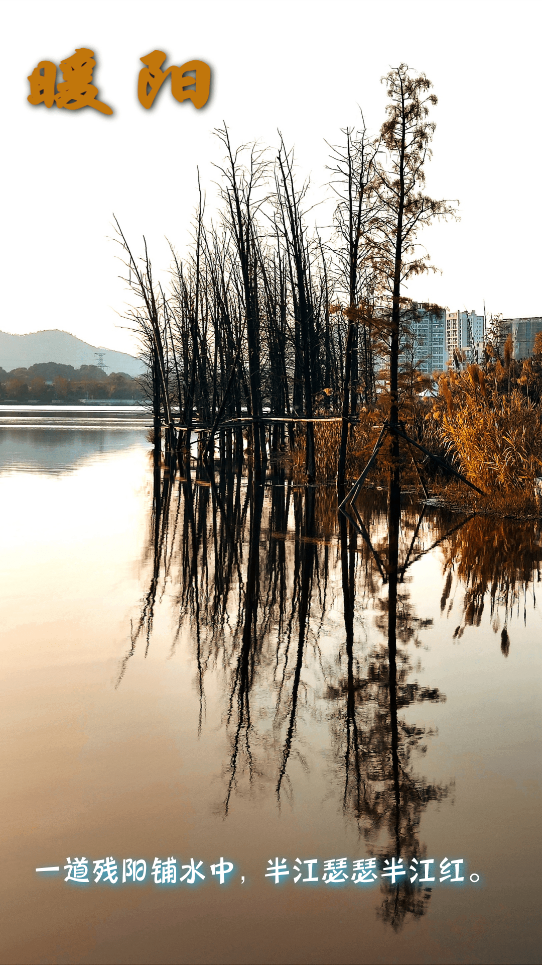 暖阳图片风景图片