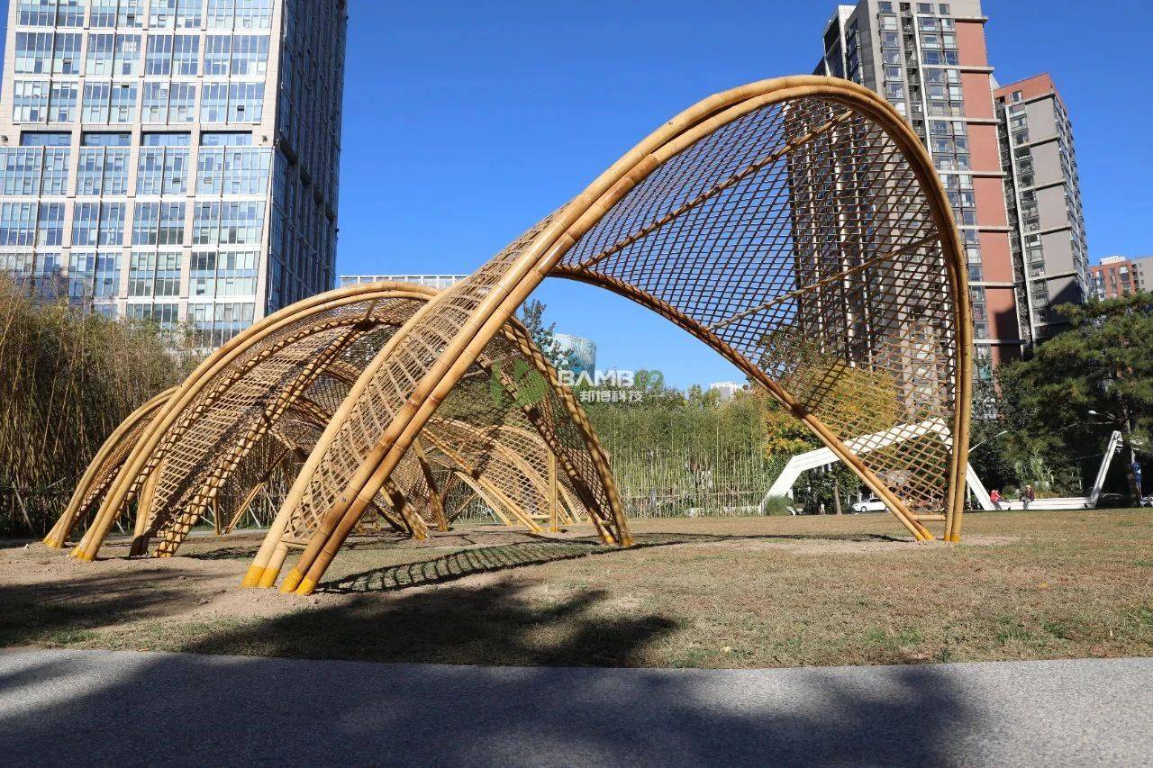 邦博科技项目案例_竹长廊景观_国际竹藤组织_进行_原竹和