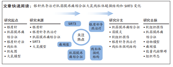 銀質針導熱治療肌筋膜疼痛綜合徵大鼠骨骼肌線粒體和sirt3表達的變化