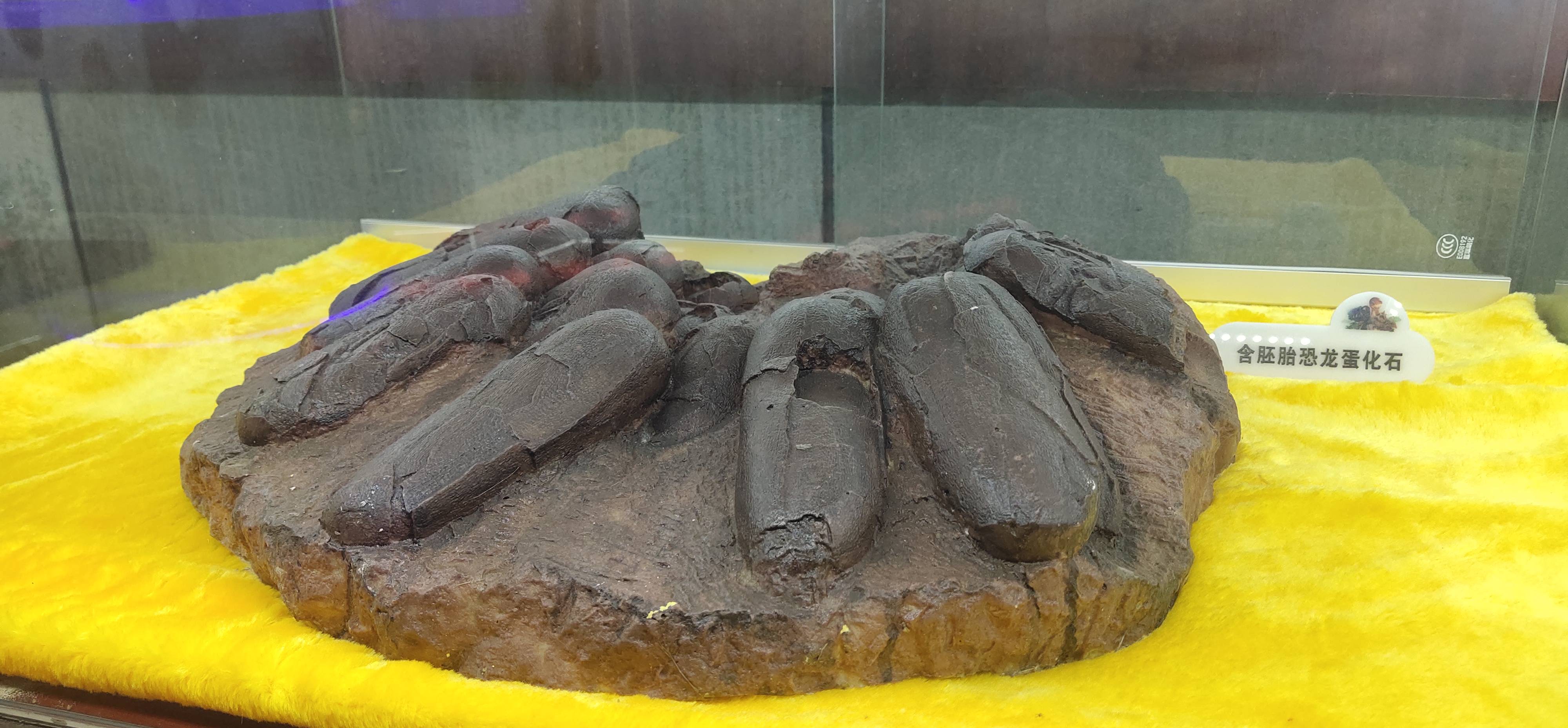 沂蒙霞客行 中国龙城诸城恐龙博物馆