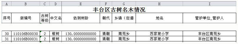 豐臺區大紅門街道蘇家坡小學(觀音堂遺址)二古楸_資料_清代_石碑