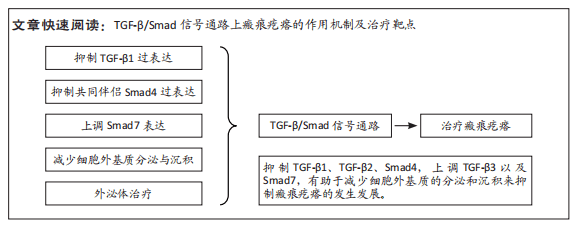 轉化生長因子β/smad信號通路與瘢痕疙瘩的靶向治療_細胞_組織_檢索