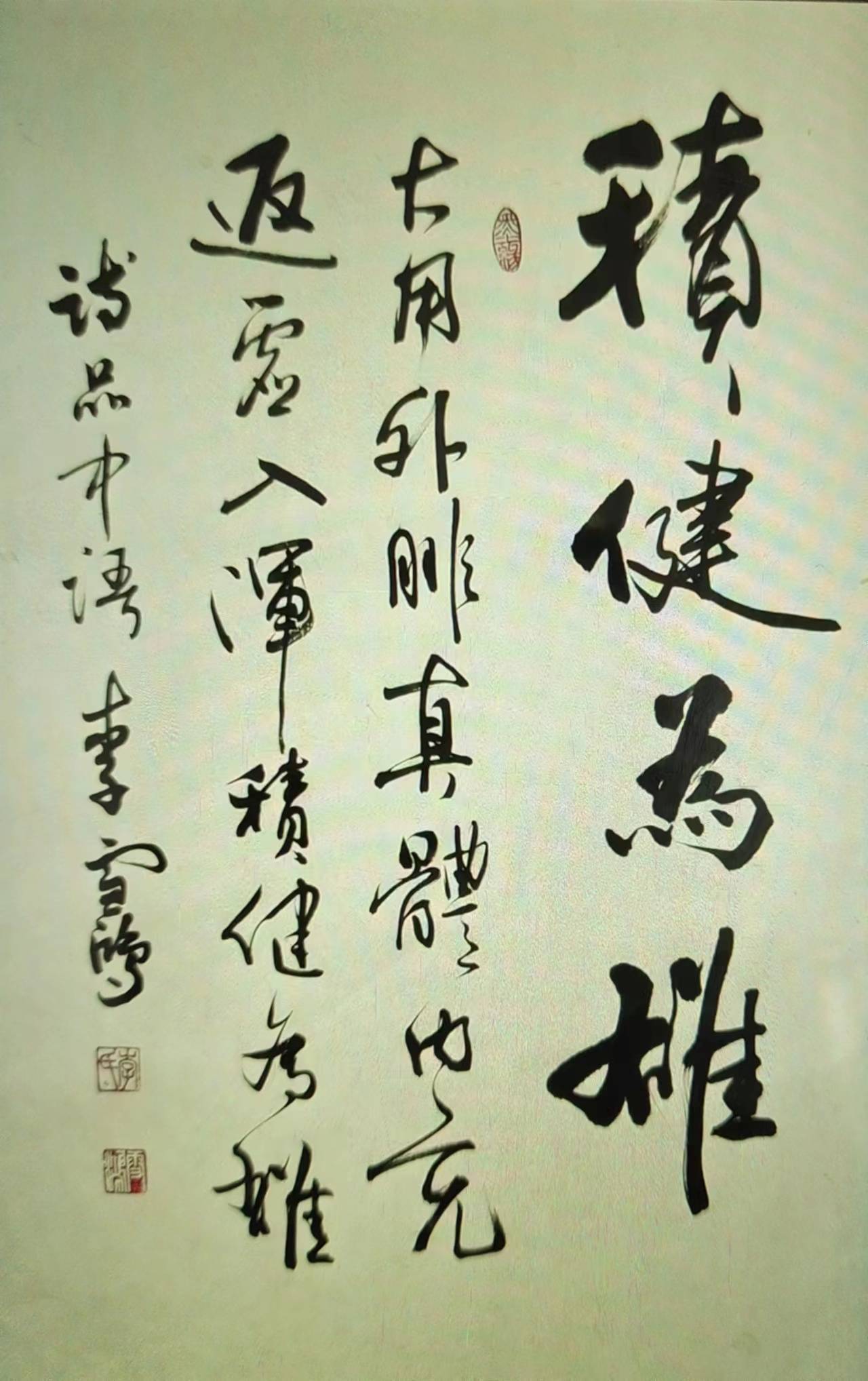 中国书法家协会会员李雪鸿作品鉴赏_中央电视台_北京_名家