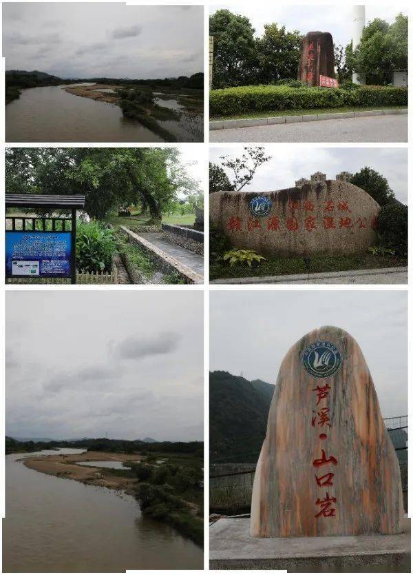 局湿地办督导湿地公园建设情况