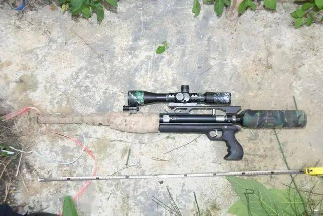 阳江两男子用高压枪射死27只鸟被刑事拘留