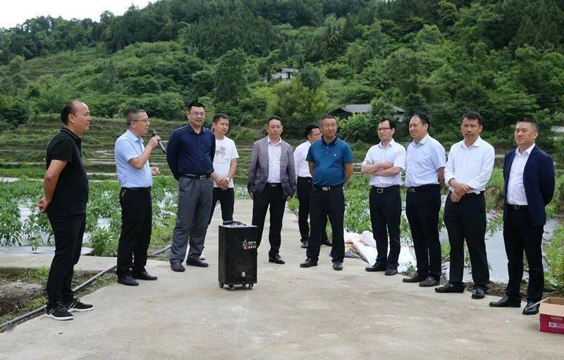 6月2日,周世晓,潘代勤等县领导率队深入玉溪镇淞江村,忠信镇水石脚村