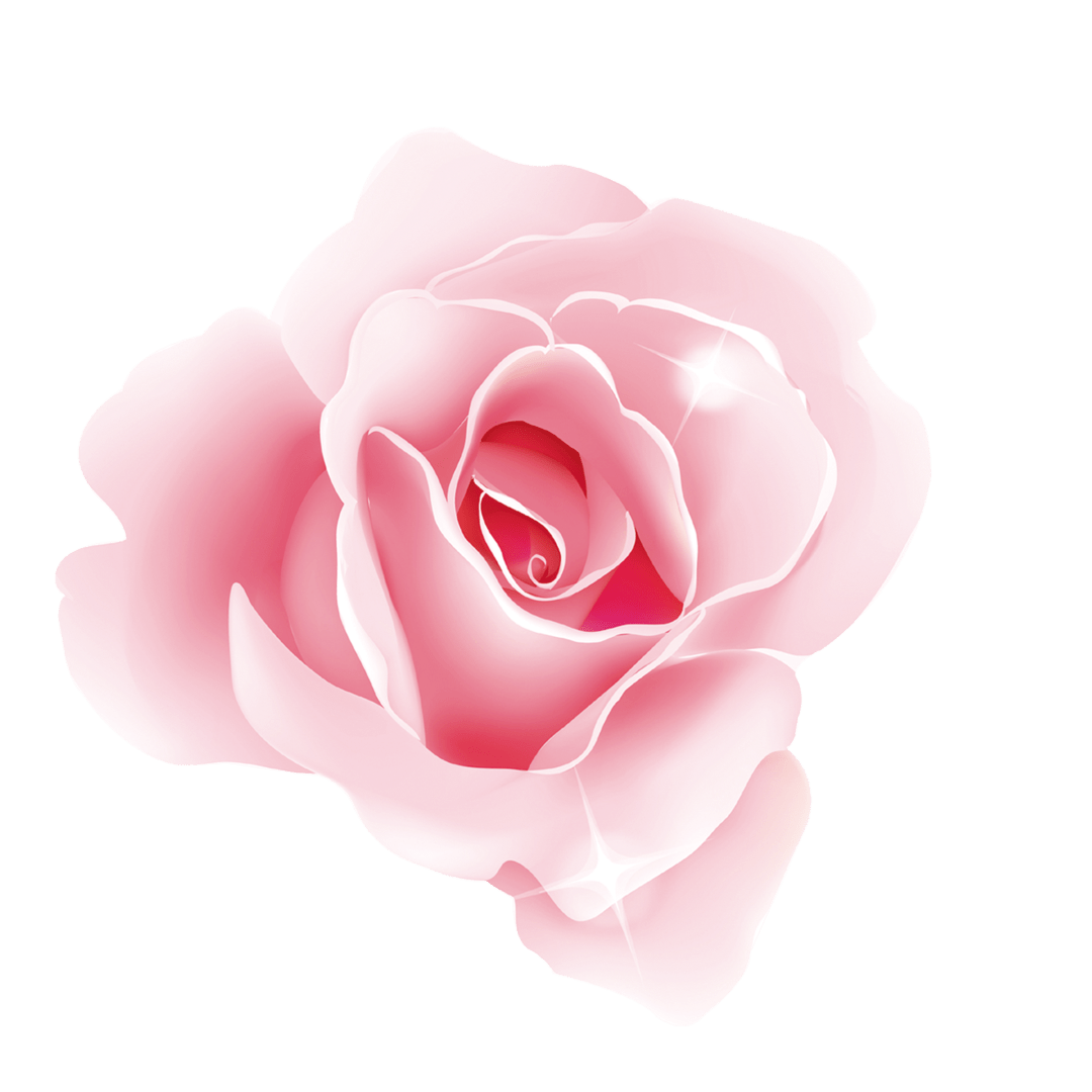 来自格兰维尔玫瑰的传奇魅力雅芙侬新品上市