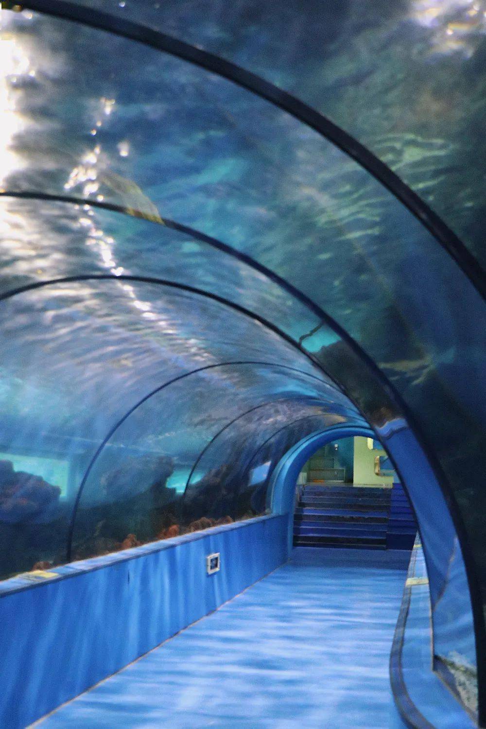 07元天畅玩义乌海洋世界一整年这张卡义乌人赶紧买