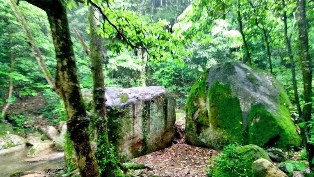 西海漂流游览将军峡吴王谷景区赏十里画廊让您心花怒放