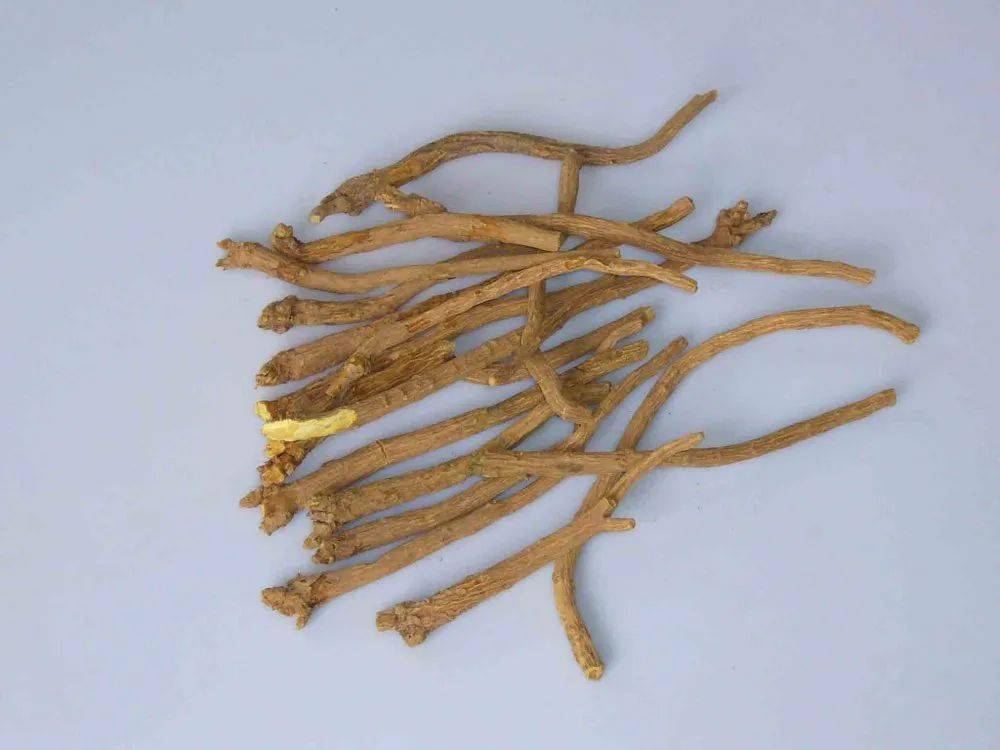 全市夏田品种考察观摩现场会召开