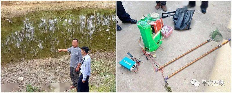 西峽嚴厲打擊電魚,炸魚,毒魚等非法捕撈行為