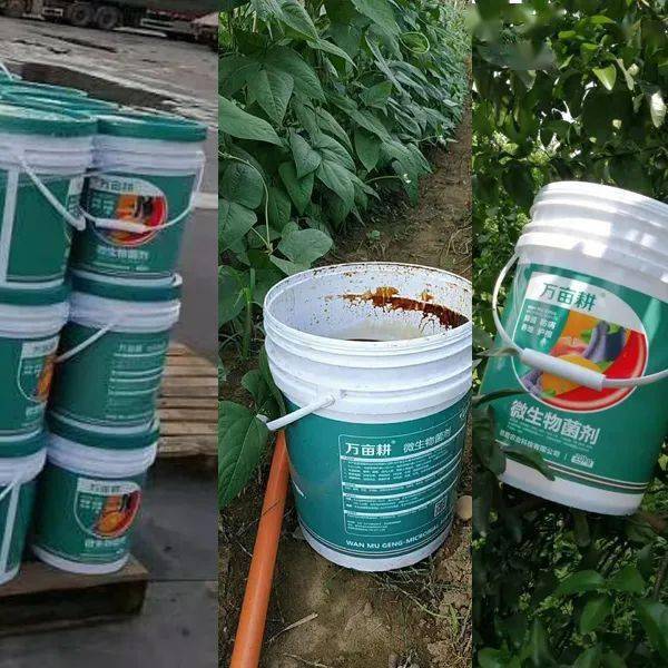 这桶肥我们一直都在用自带繁殖微生物菌20公斤桶肥万亩耕微生物菌剂