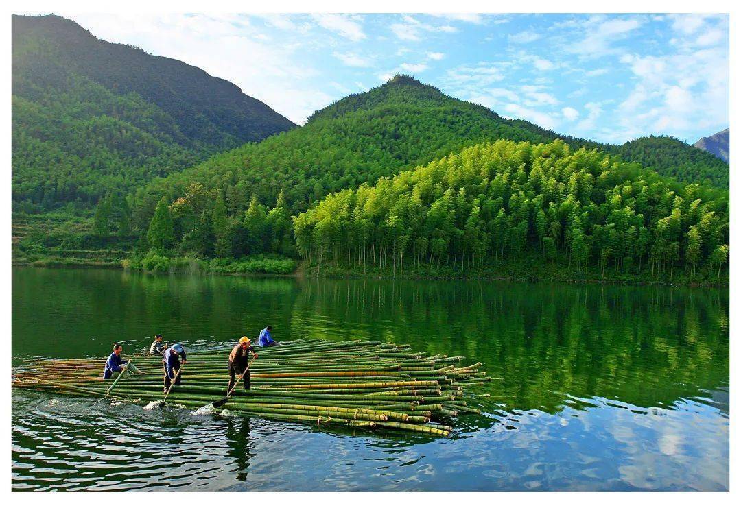 青年话两山(五):小姐姐为安吉竹海代言!