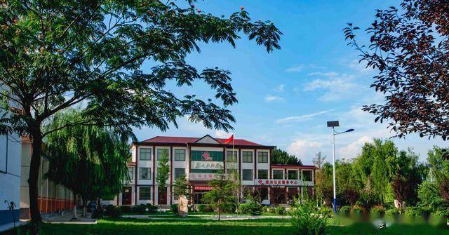 平邑县保太镇产业扶贫结硕果葡萄熟了日子甜