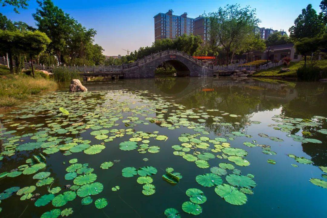 稷山最美民乐园美艳照海量曝光