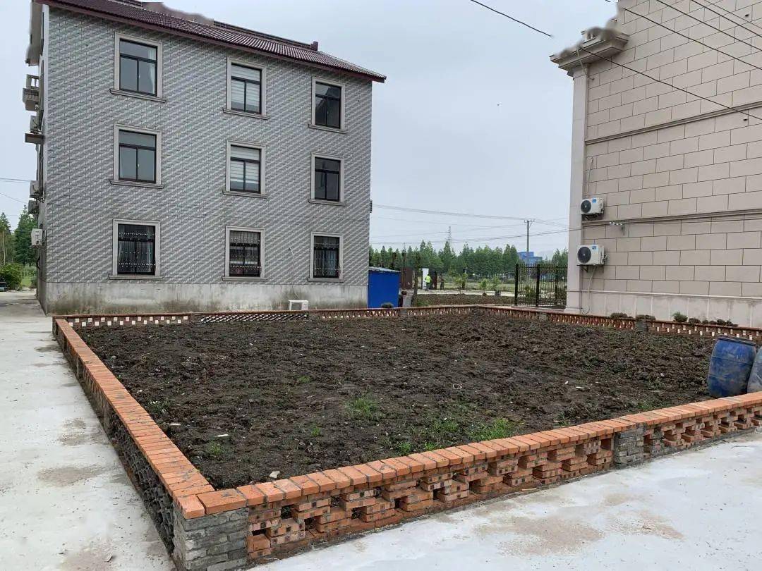 向后半程风景进发千村美居持续发力点靓村庄