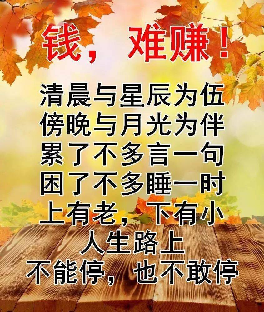 钱难赚情难断心难懂人难做命难求