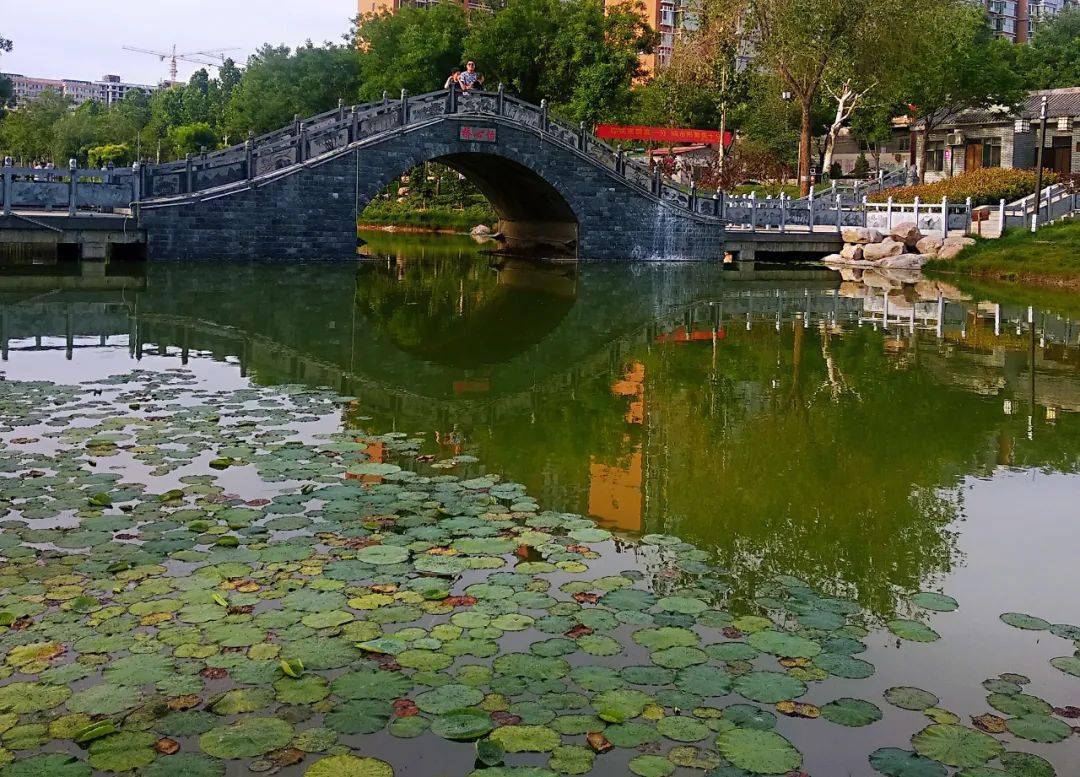 稷山最美民乐园美艳照海量曝光