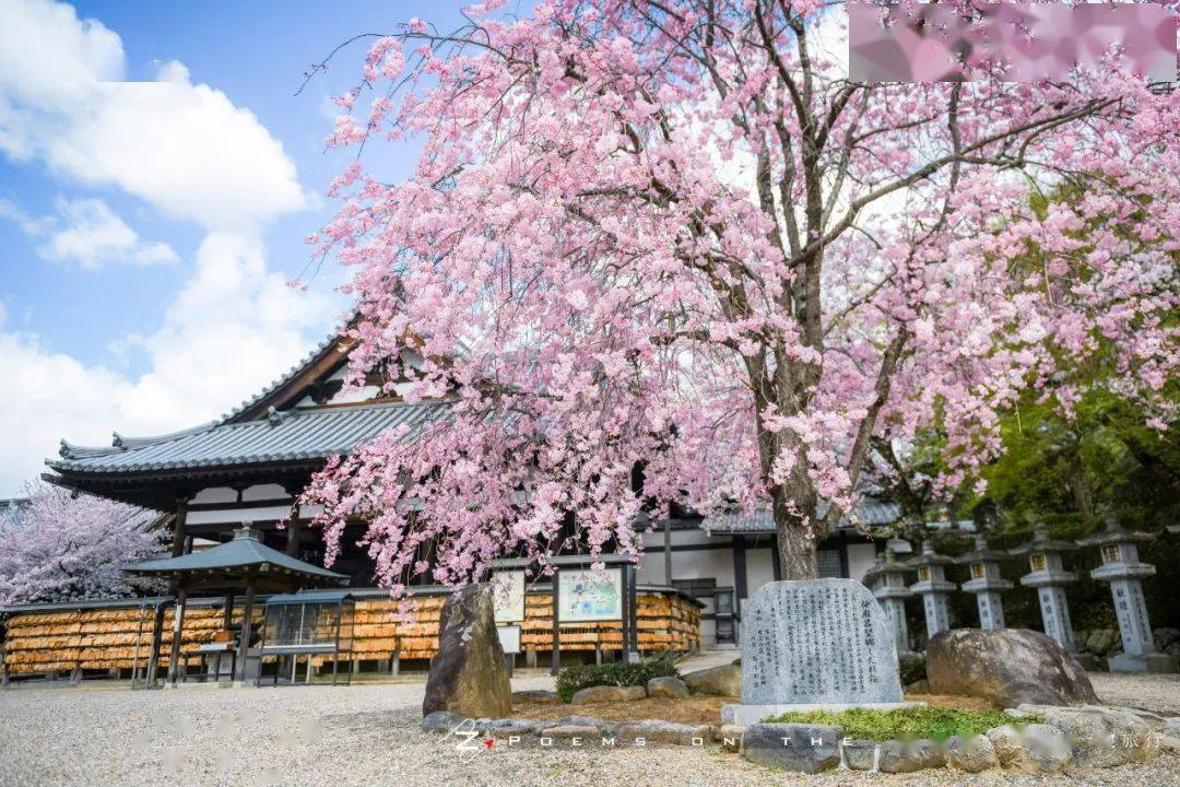 奈良|阴阳师祖庙,安倍文殊院