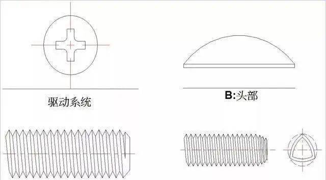 wangzhi1688888