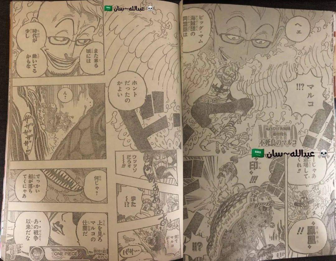 凤凰印!大妈团:为什么马尔科会在!