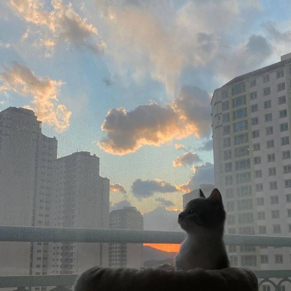 宫崎骏朋友圈背景图65