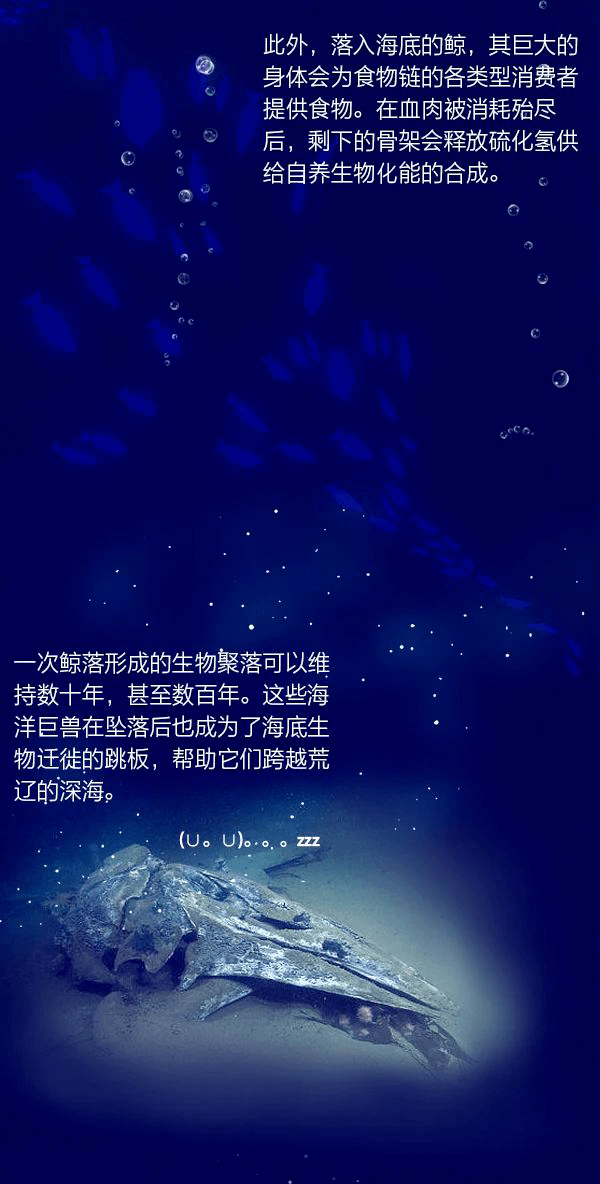 在這顆藍色星球上,匯聚著各種生命,也創造著無數生命的奇蹟.