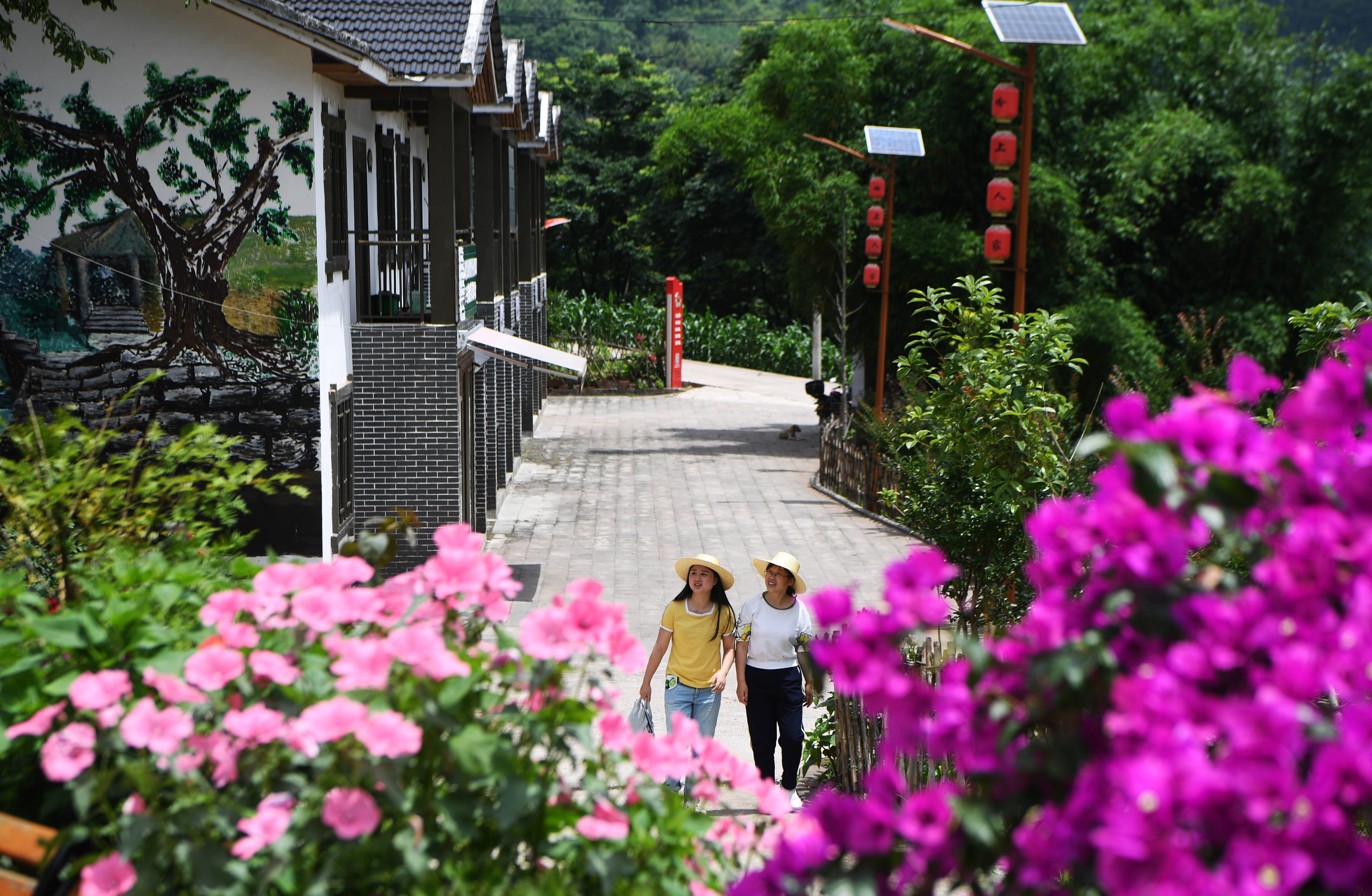 6月4日,游客在万州区长岭镇安溪村游览
