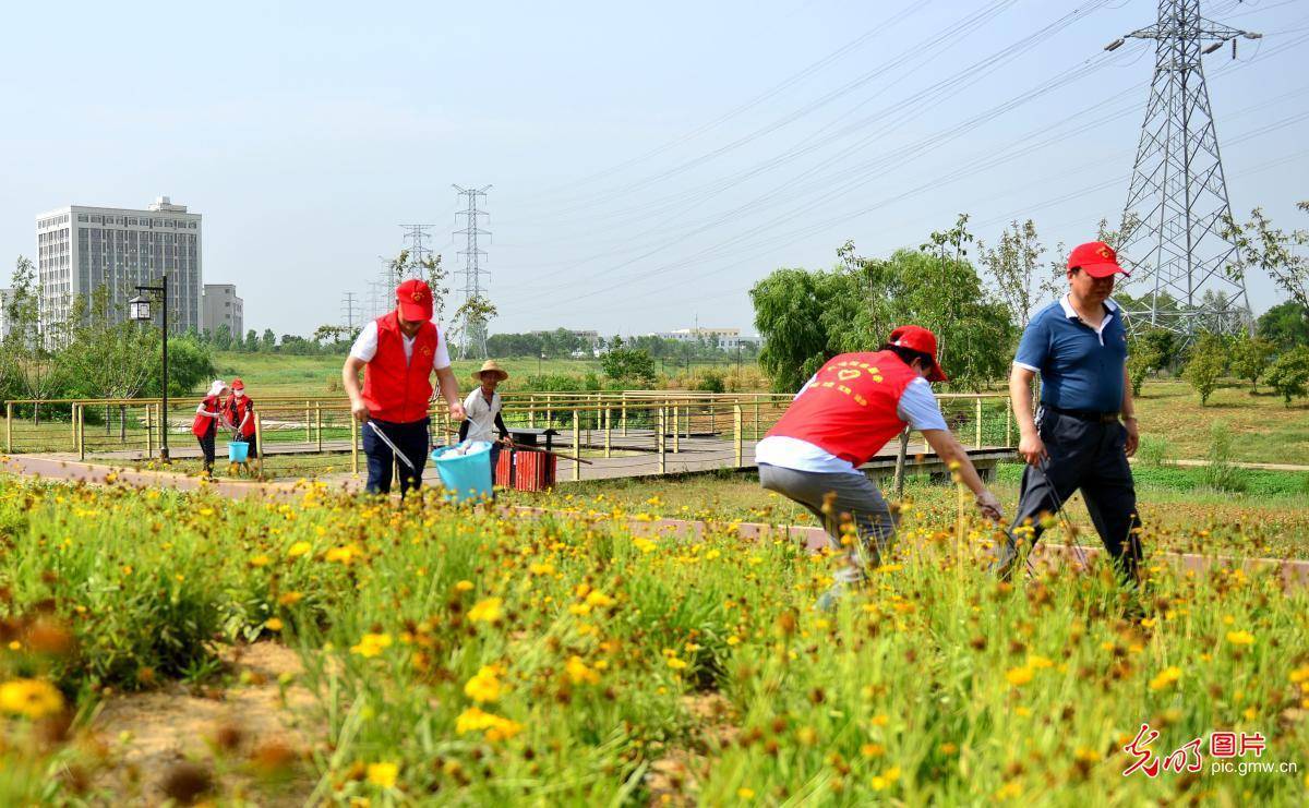 光明图刊践行环保我们都是行动者
