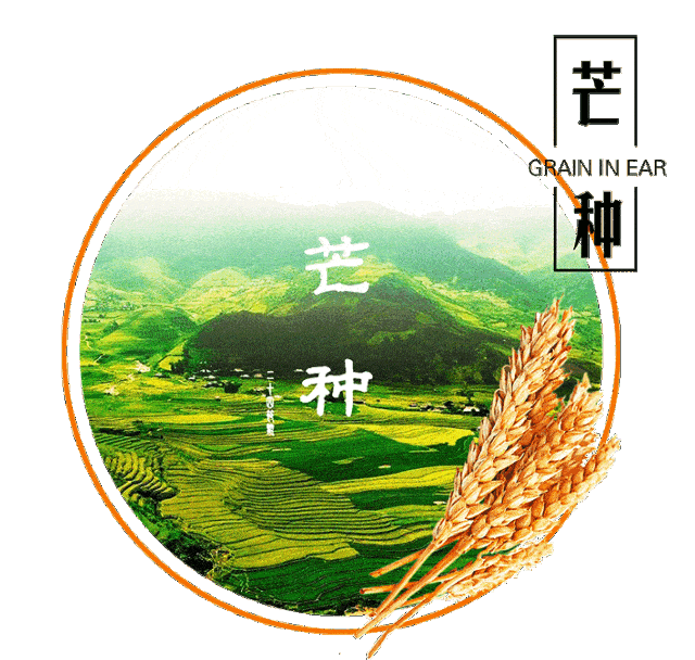 芒种到!"百毒之月",一年中最危险的日子,打开看看安稳一年!