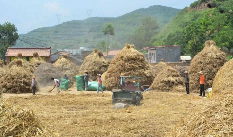 等碾场完了之后,紧接着就要开始扬麦了,那时候还可以用的是