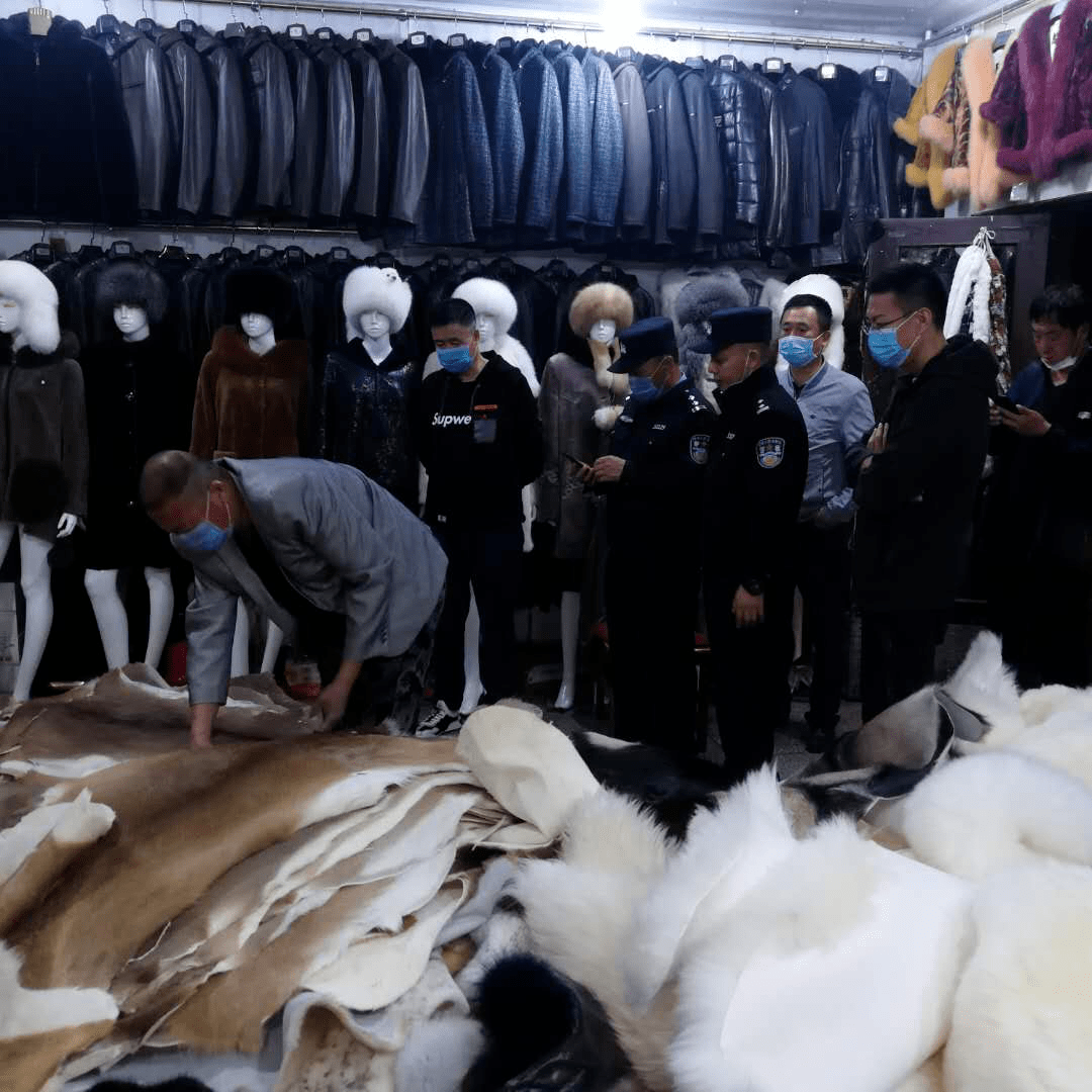 海拉尔区对俄罗斯商城,开展野生动物保护联合检查