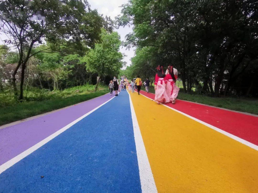 美!美!锡山"彩虹桥"惊艳登场,"彩虹步道"再也不孤单啦