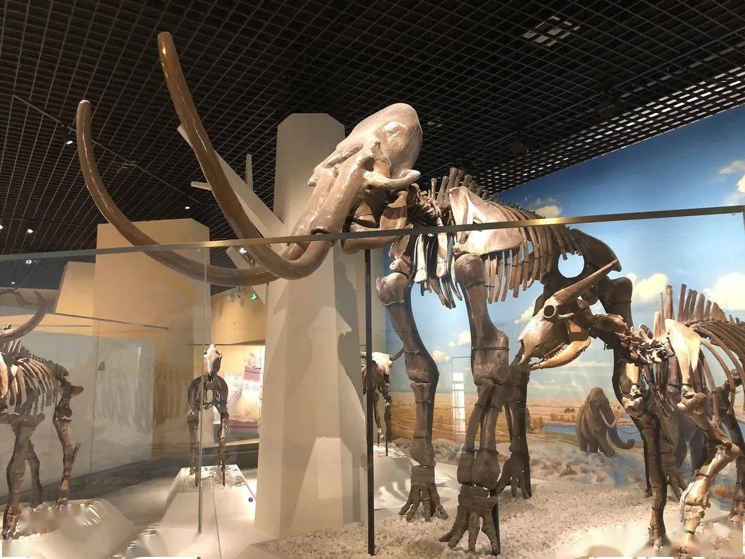 第四纪还有哪些我不知道的事?_时期上