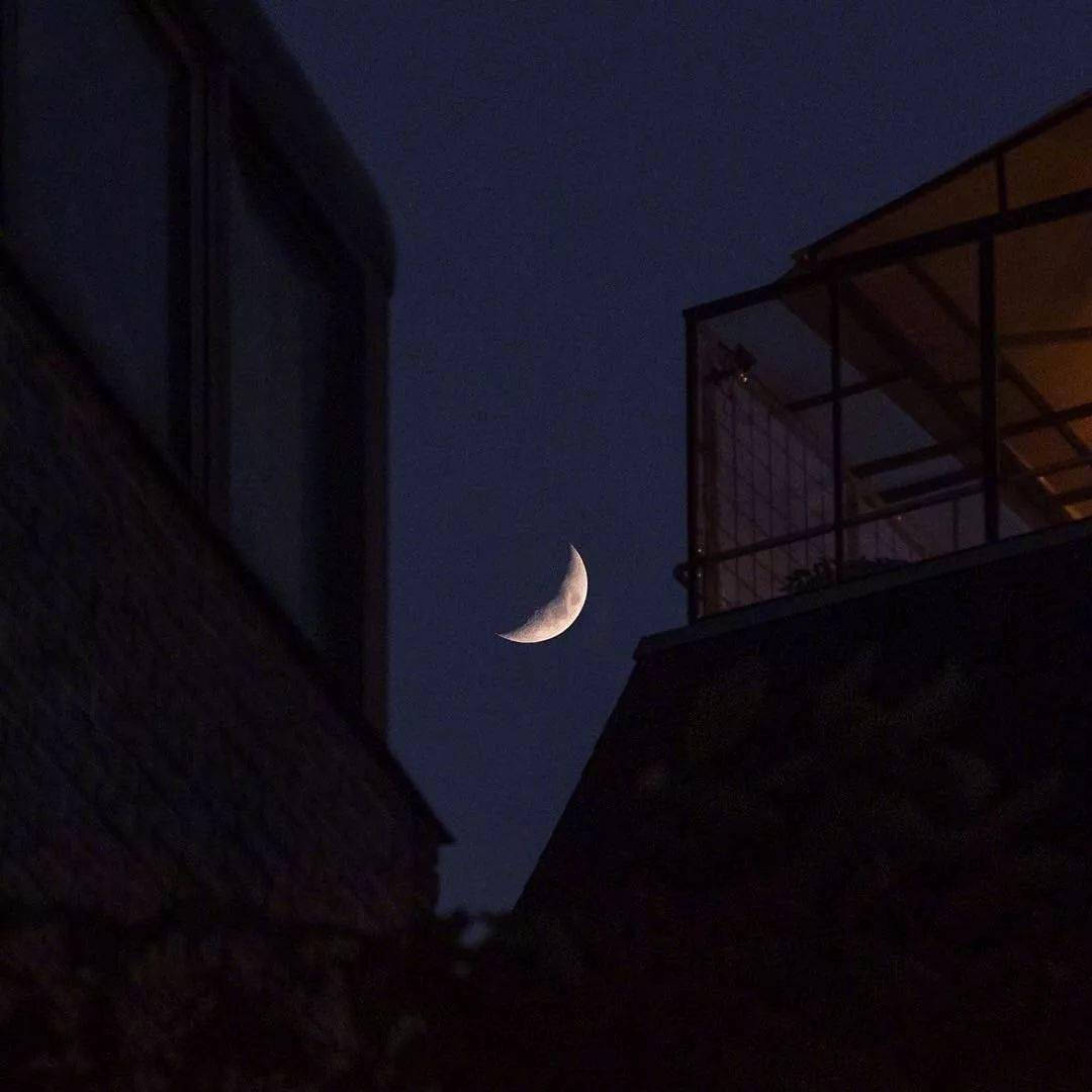 背景图67我把所有的委屈和心酸藏进黑夜里