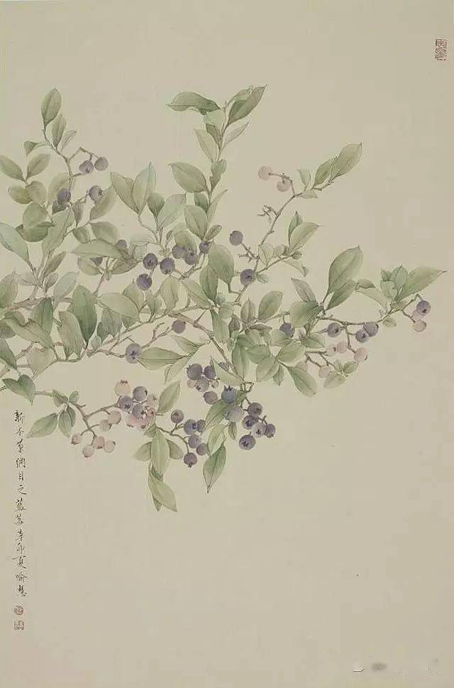 藍莓山楂梔子花桃花木槿工筆畫在長期的歷史發展中建立了一套嚴整的