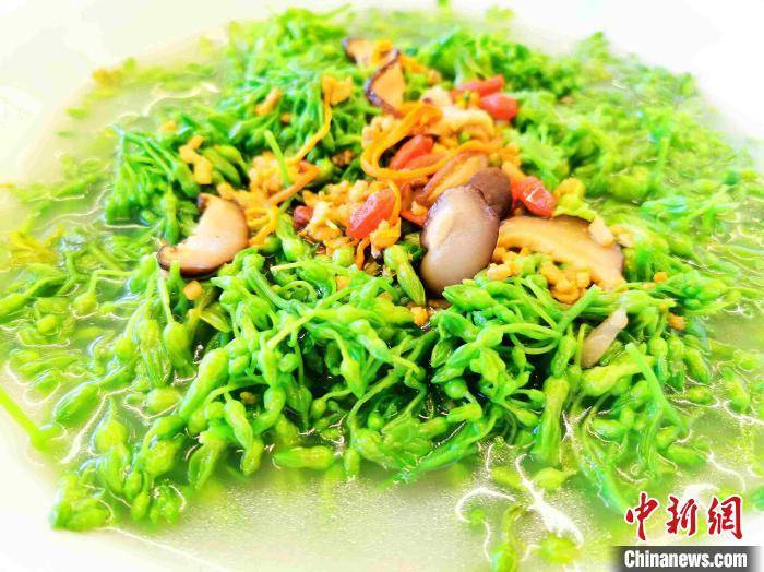 夜兰花广东侨乡台山人餐桌上的新宠