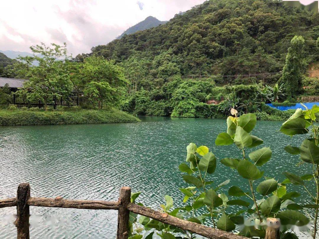 景區內遊玩約四個小時,紫雲谷景區: 溯溪戲水,眾多的水潭,怪石,珍珠水