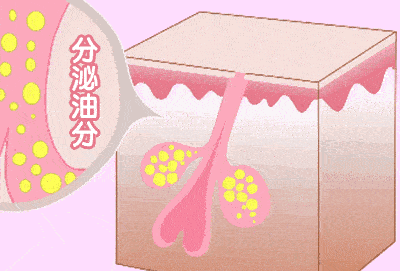 400_271gif 动态图 动图