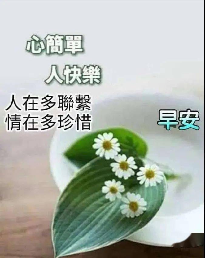 6月8日周一群发早上好问候祝福动态表情图片 6月最美早晨好问候表情