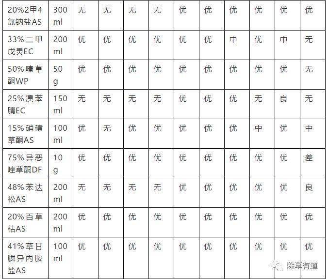 玉米田苗后除草剂_玉米田苗后除草剂药害症状_玉米田苗后除草剂几天见效