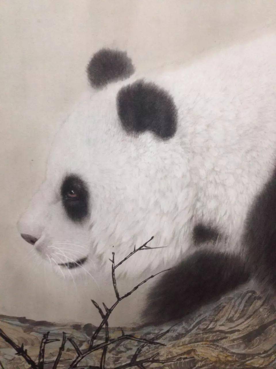 工笔画熊猫的画法步骤图片