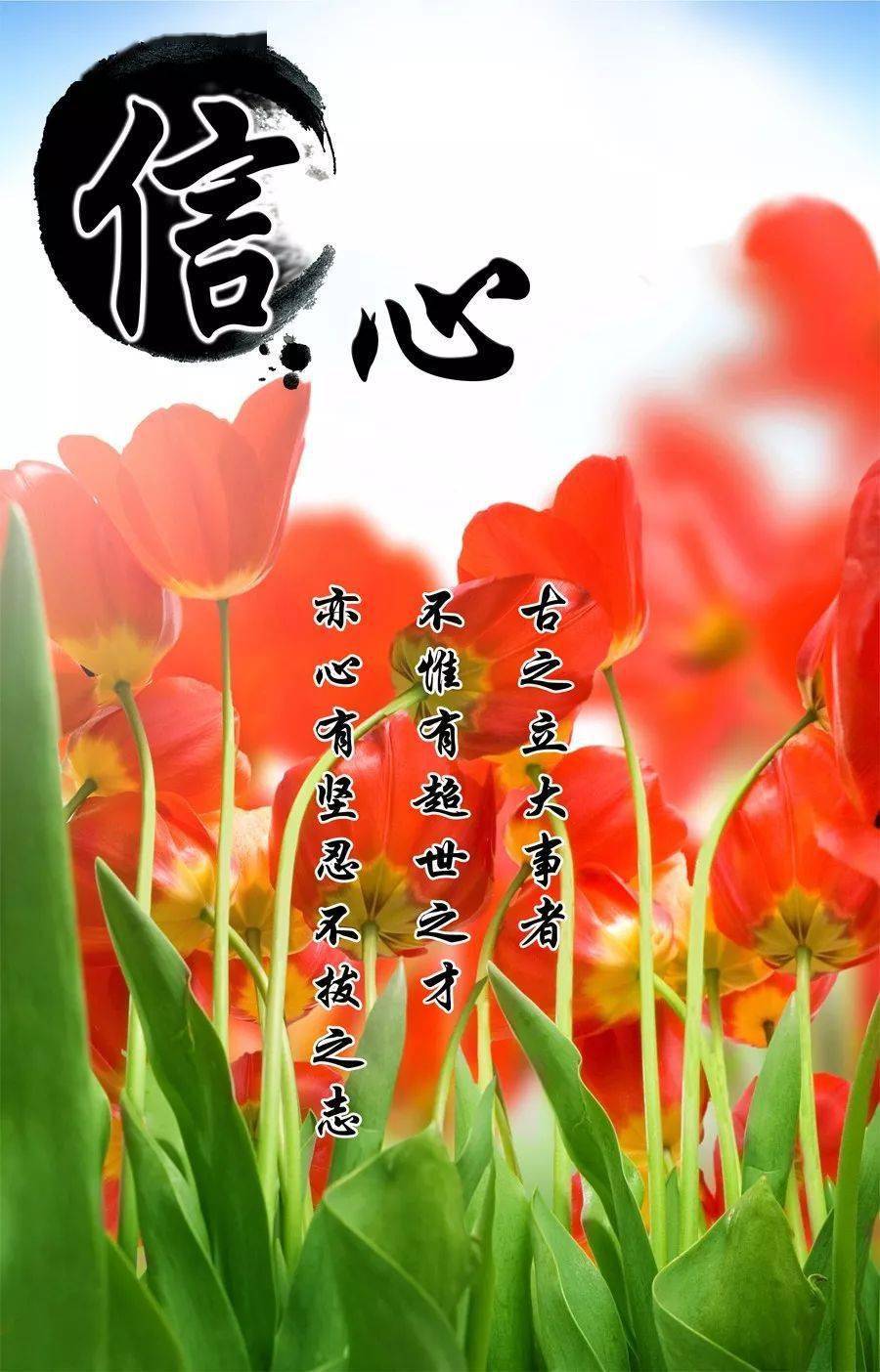 每日一句正能量人生感悟