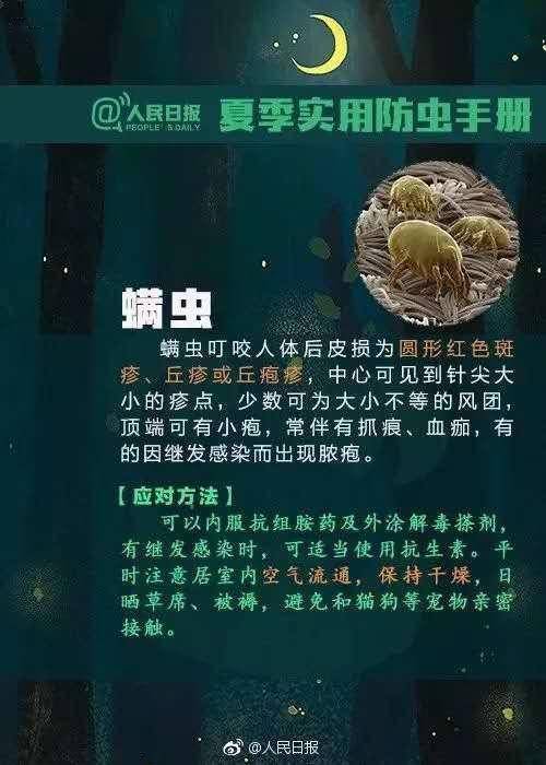 恒耀平台官网女子公交车上突然晕厥,竟是因为被蚂蚁咬了,严重可致休克(图5) 恒耀平台官网女子公交车上突然晕厥,竟是因为被蚂蚁咬了,严重可致休克(图5)
