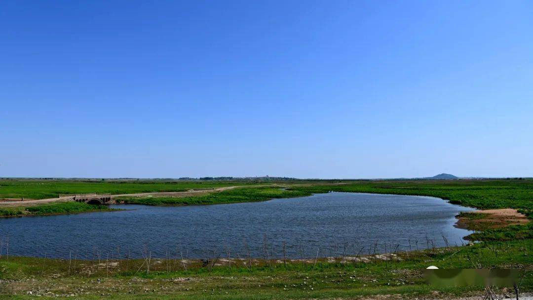 开展清河行动守护一湾碧水