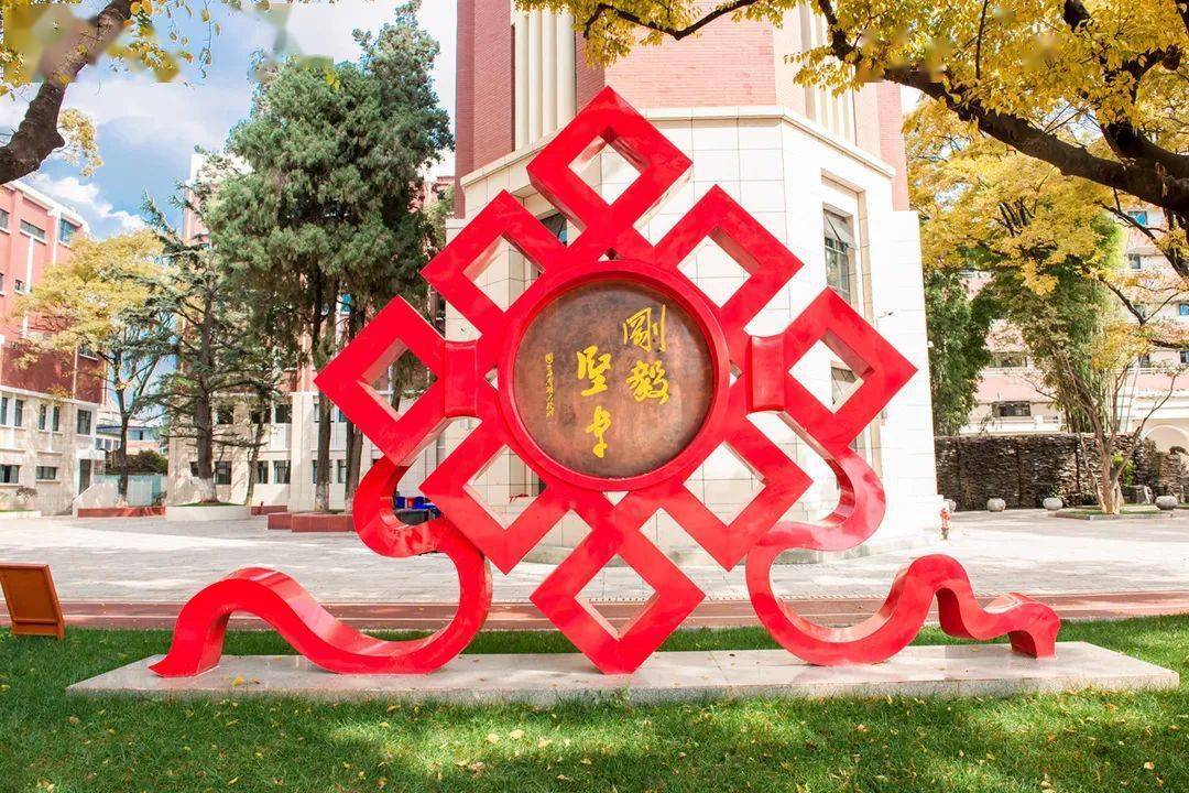 小升初 | 云南师大实验中学热点问题解答